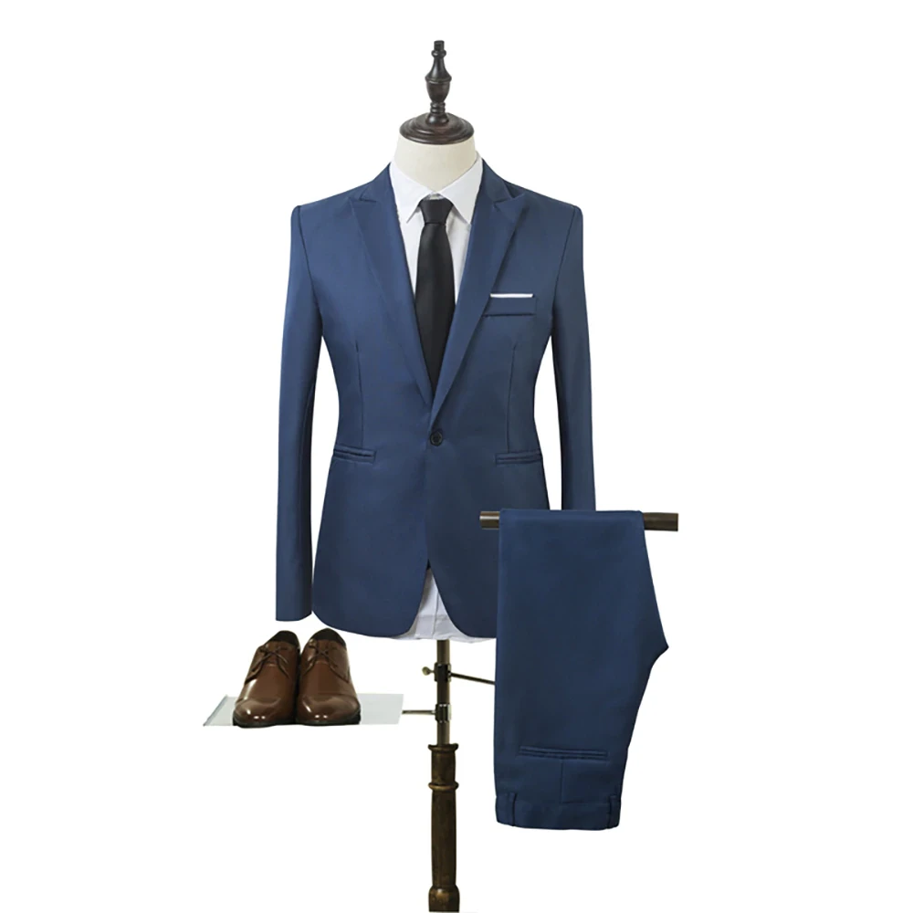 Men Navy Blue Suit